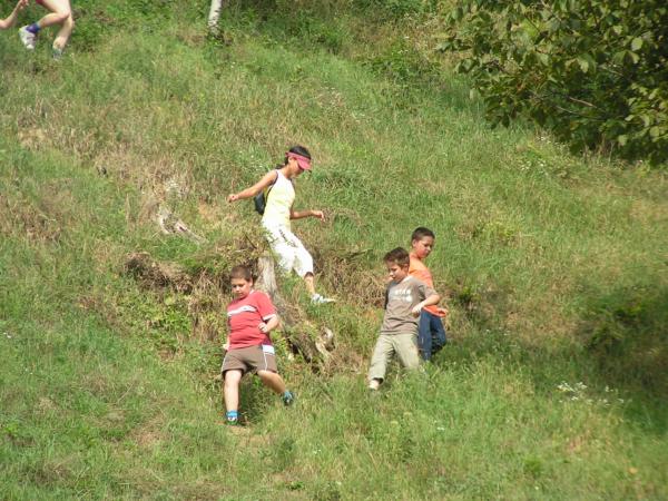 pict3528 (web)